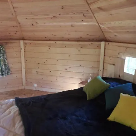 Dans Les Arbres Ruaudin