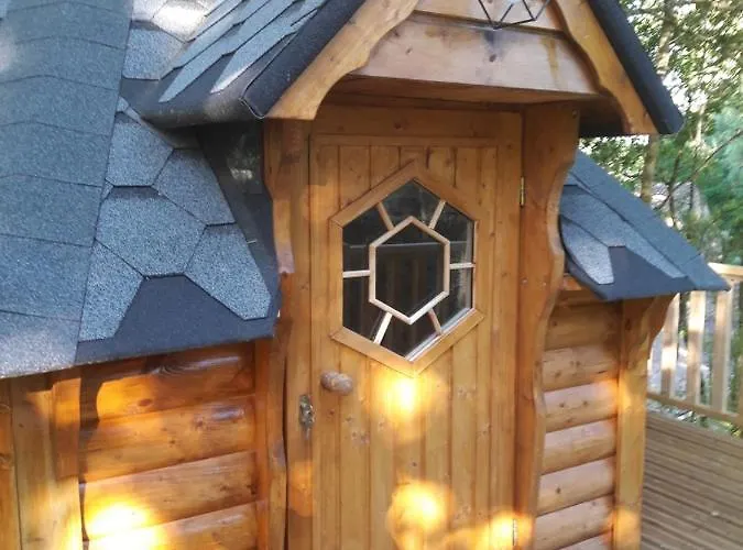 Dans Les Arbres キャンプ場 *