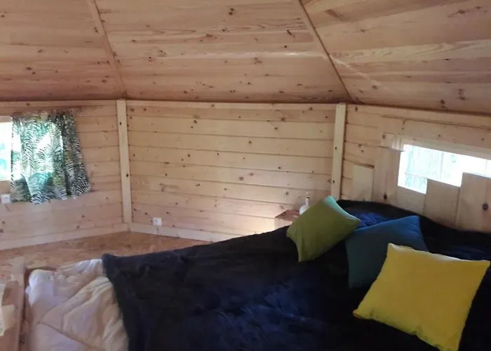 Dans Les Arbres Ruaudin